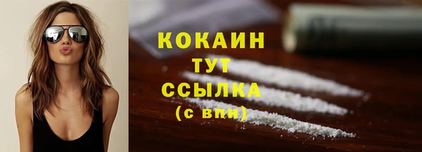 стафф Армянск