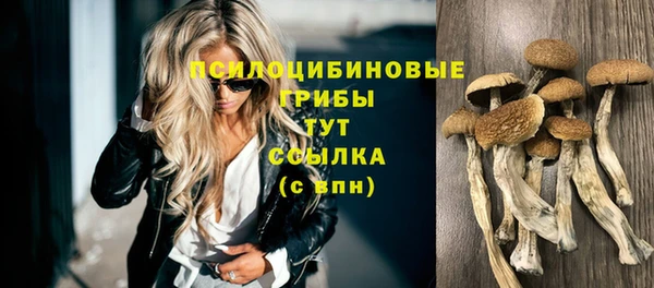 стафф Армянск