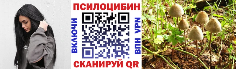 Псилоцибиновые грибы прущие грибы Протвино